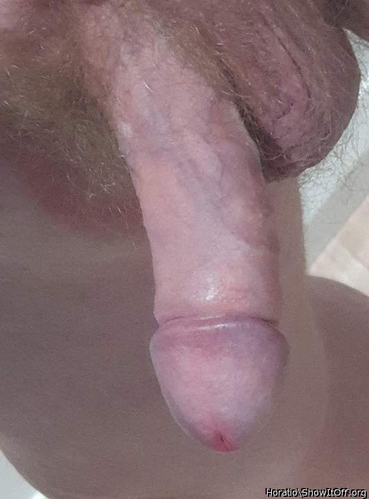 Adult image from Horatio