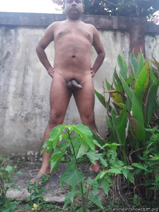 Adult image from Animesh