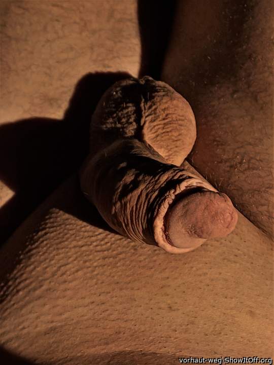 beschnittener Schwanz und voller Sack