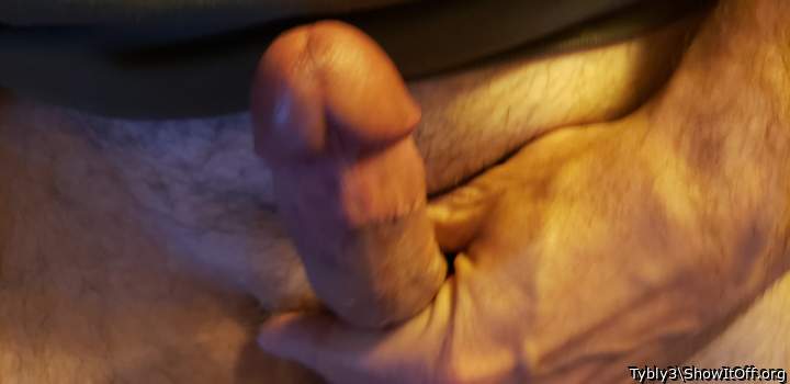 Adult image from Tybly3