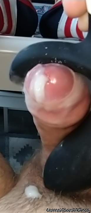 Adult image from Aaccee