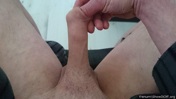Adult image from Frenum
