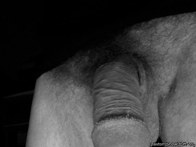 Adult image from Paxton