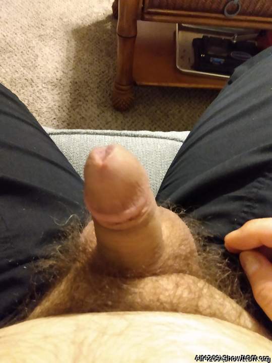 Adult image from Alf4269