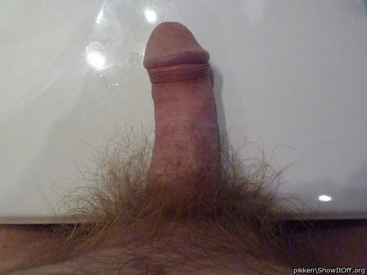 Adult image from pikken