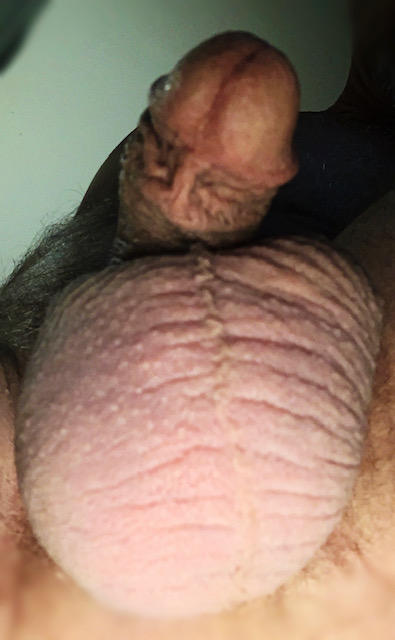 Adult image from greeny13
