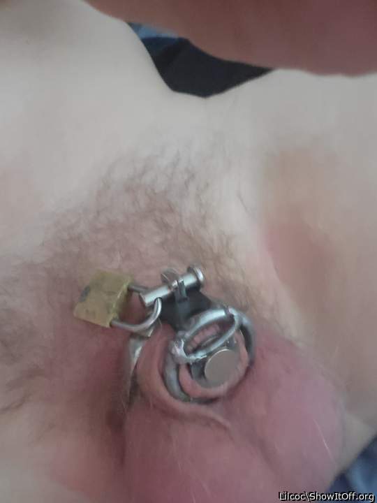 New cage