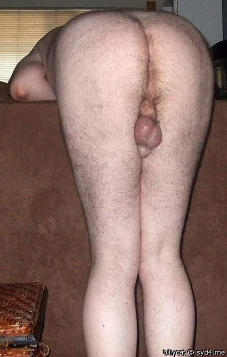 Adult image from billycat