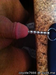 Adult image from coyote7666