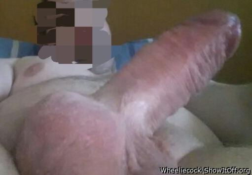 Adult image from Wheeliecock