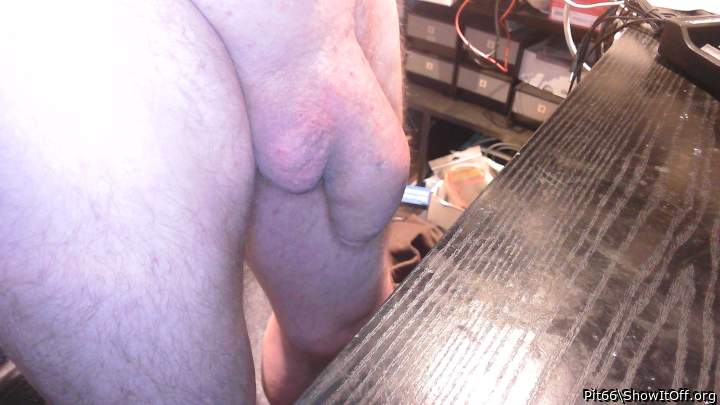 Adult image from Pit66