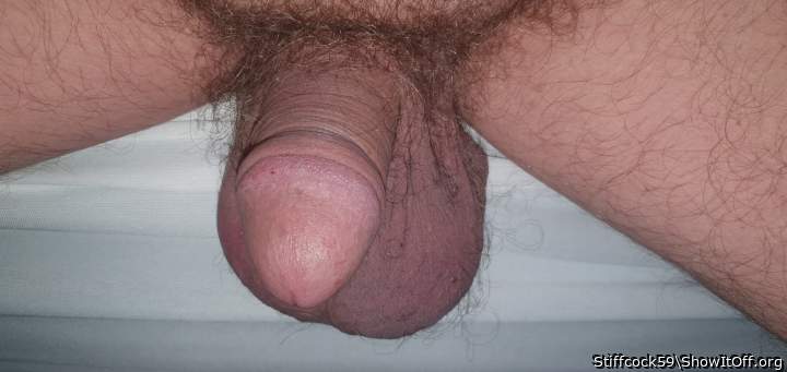 Adult image from Stiffcock59
