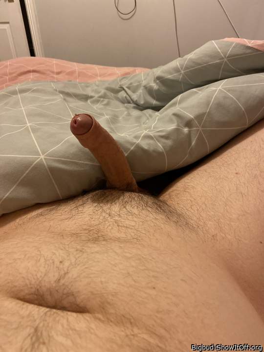 Adult image from Bigbud