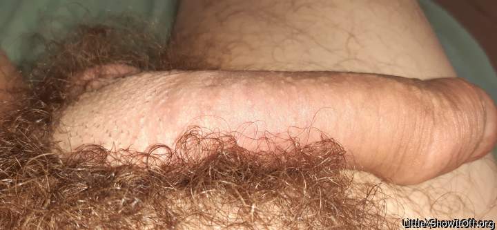 Adult image from Little