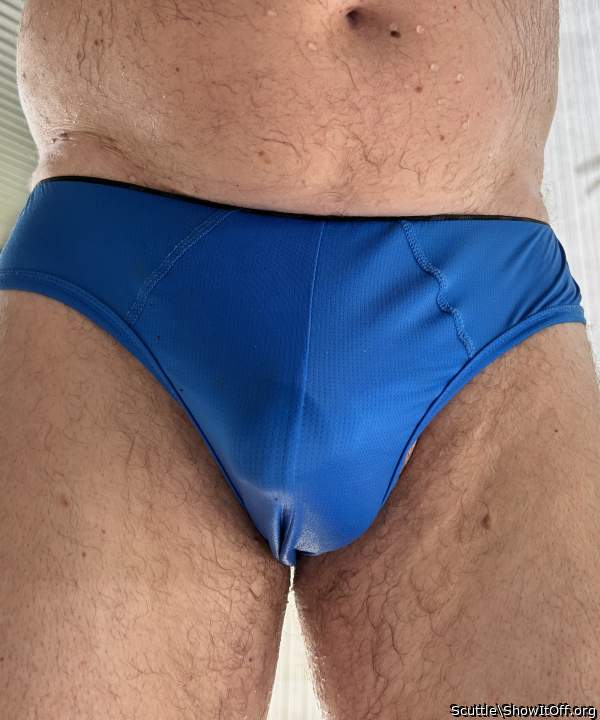 Adult image from Scuttle