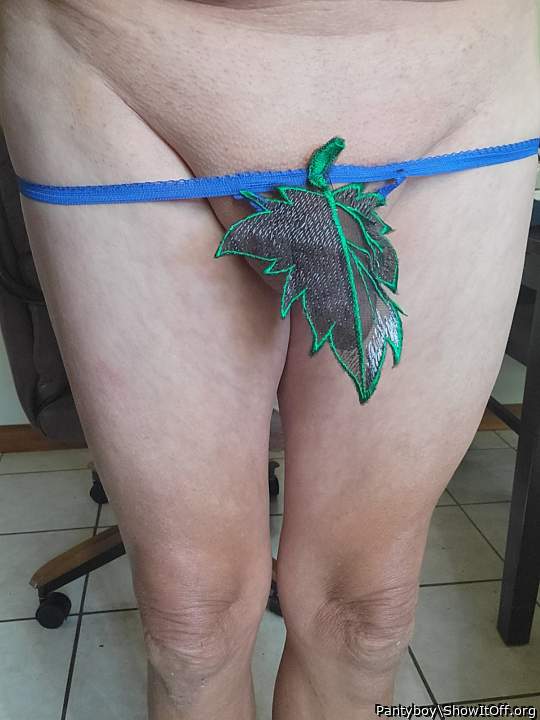 Turned over a new leaf 🍃.  What do you think about  