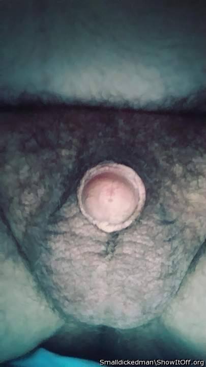 PUT THAT COCK UP MY ASS  CUM IN MY ASS  MAKE ME PREGNANT