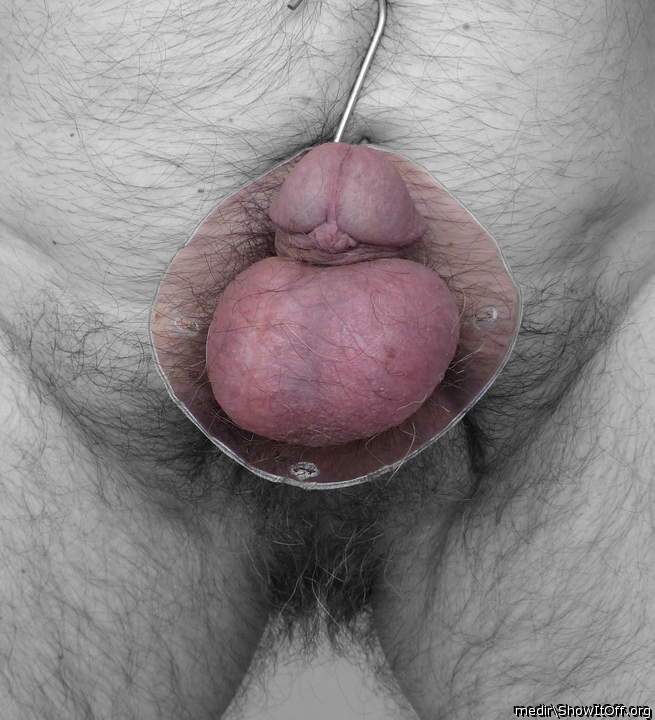 Adult image from medir