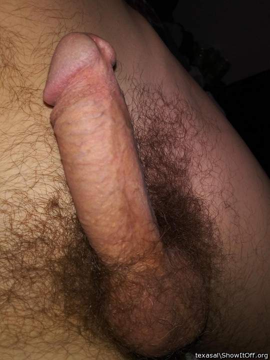 Adult image from texasal