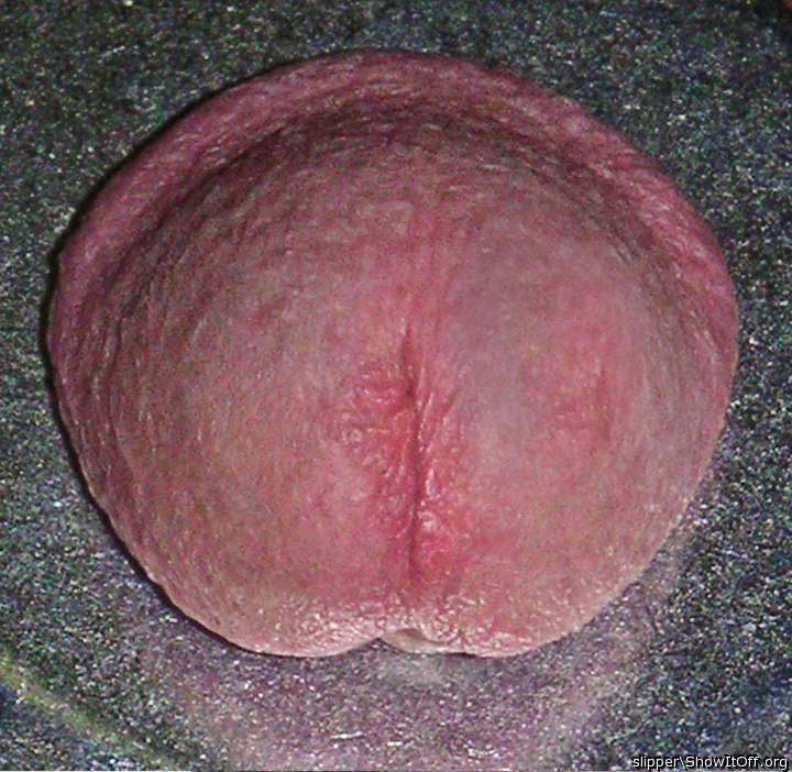 Adult image from slipper