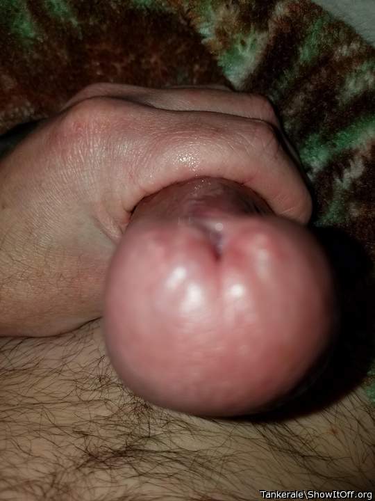 Adult image from Tankerale