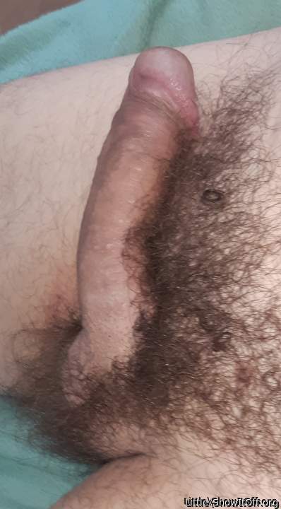 Adult image from Little