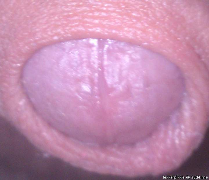Adult image from lekkerpikkie