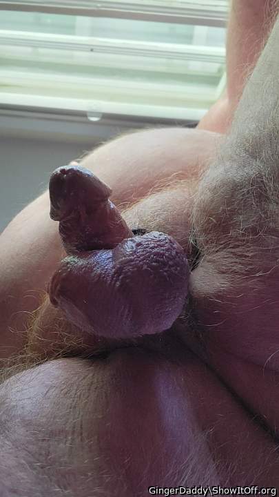   lick my balls