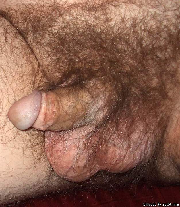Adult image from billycat