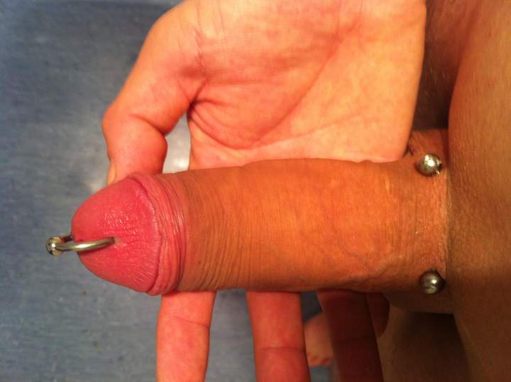 Adult image from fulla