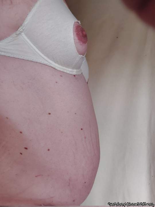 Adult image from Gerbiboy