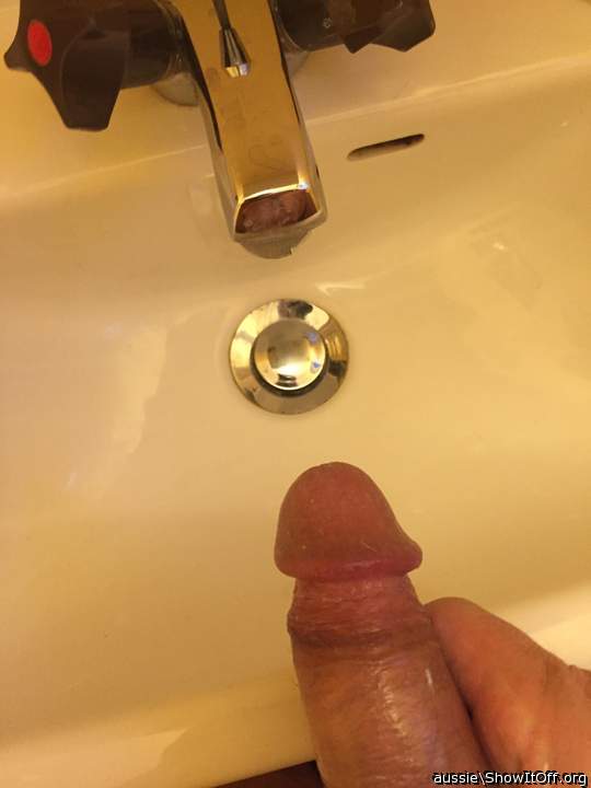 Adult image from aussie