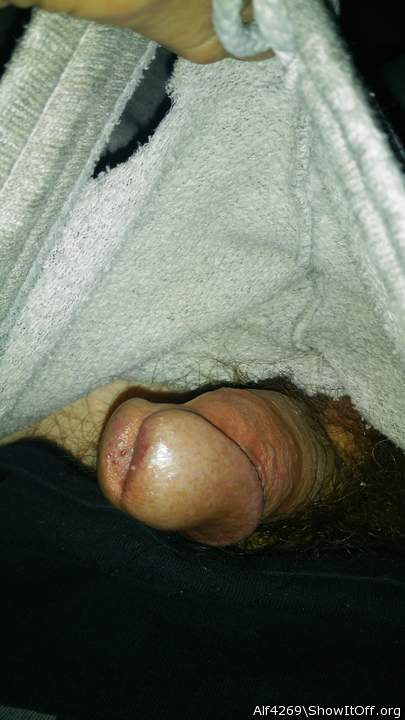 Adult image from Alf4269
