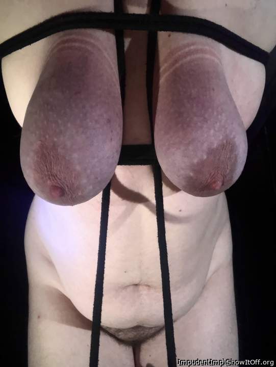 Adult image from ImpudentImp