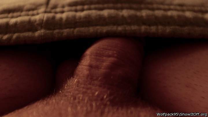 Adult image from Wolfpack95