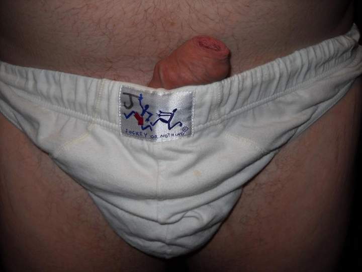 Adult image from Sharkie