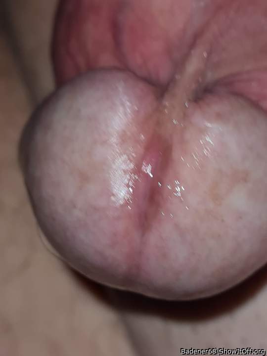 Adult image from Badener68