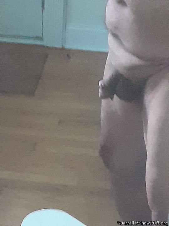 Adult image from Guarrella