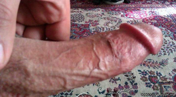 Adult image from Masoud