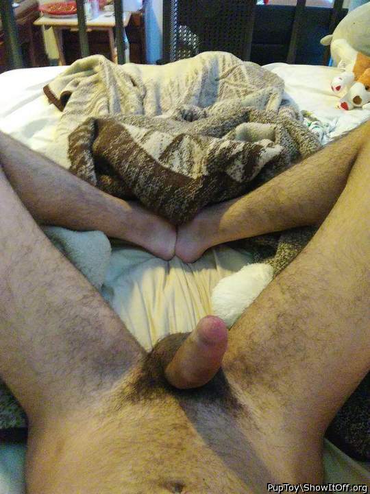 Adult image from PupToy
