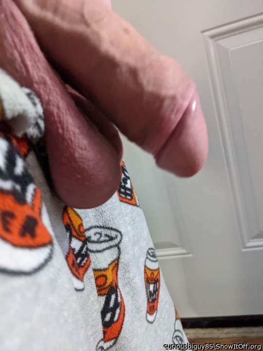 Adult image from curiousbiguy85