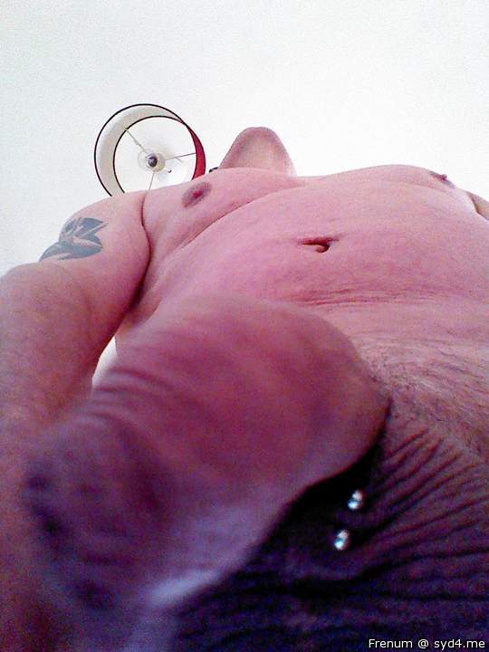 Adult image from Frenum