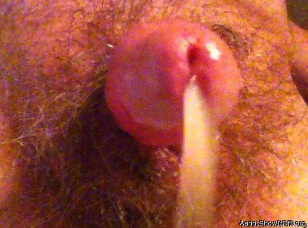 Adult image from Arinn