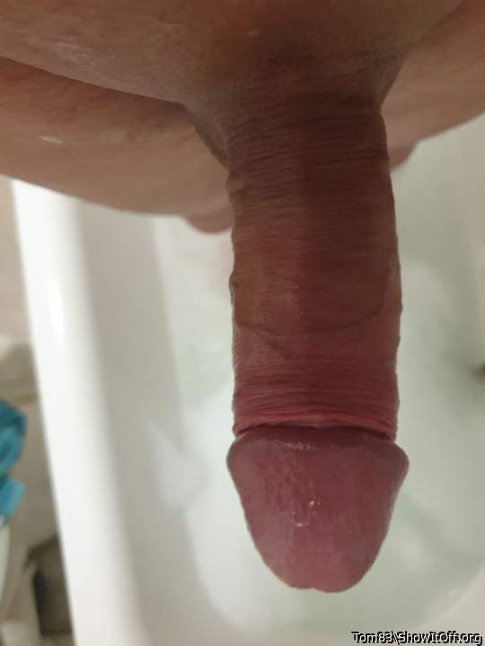 Adult image from Tom83
