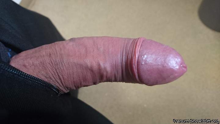 Adult image from Frenum