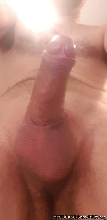 Adult image from MYCOCK66