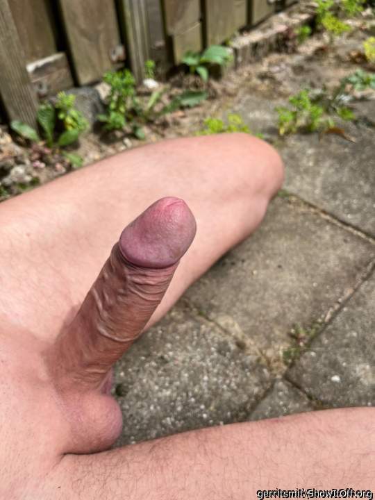 Adult image from gerritsmit
