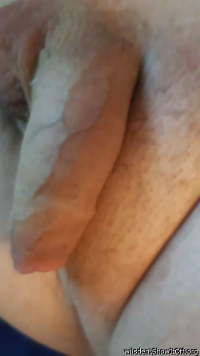 Adult image from wilsden