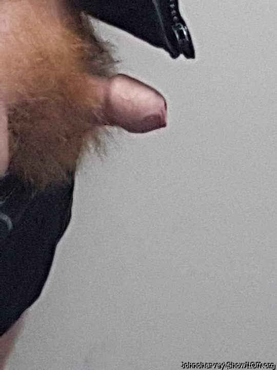 Adult image from Johnoharvey