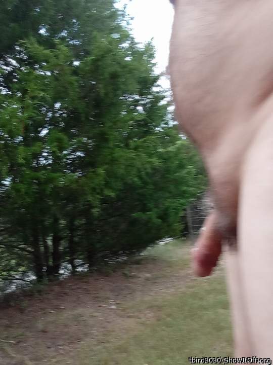 Adult image from tbird3030